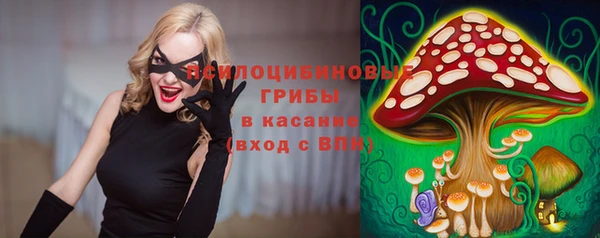 прущий лед Арсеньев
