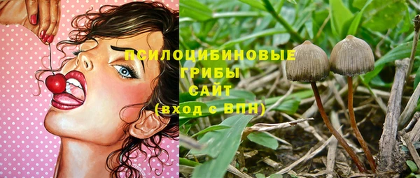 прущий лед Арсеньев
