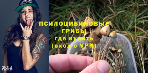 прущий лед Арсеньев