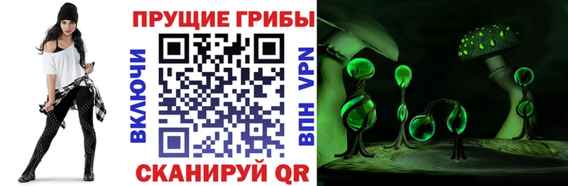 Галлюциногенные грибы Magic Shrooms Гатчина