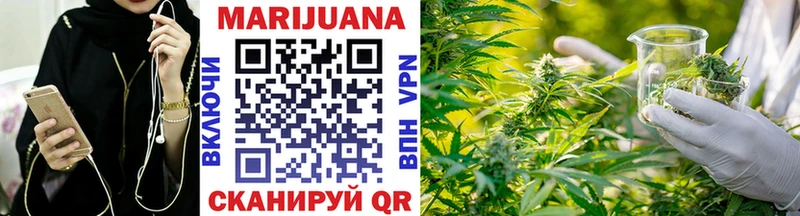 где можно купить наркотик  Гатчина  гидра ТОР  Канабис THC 21% 